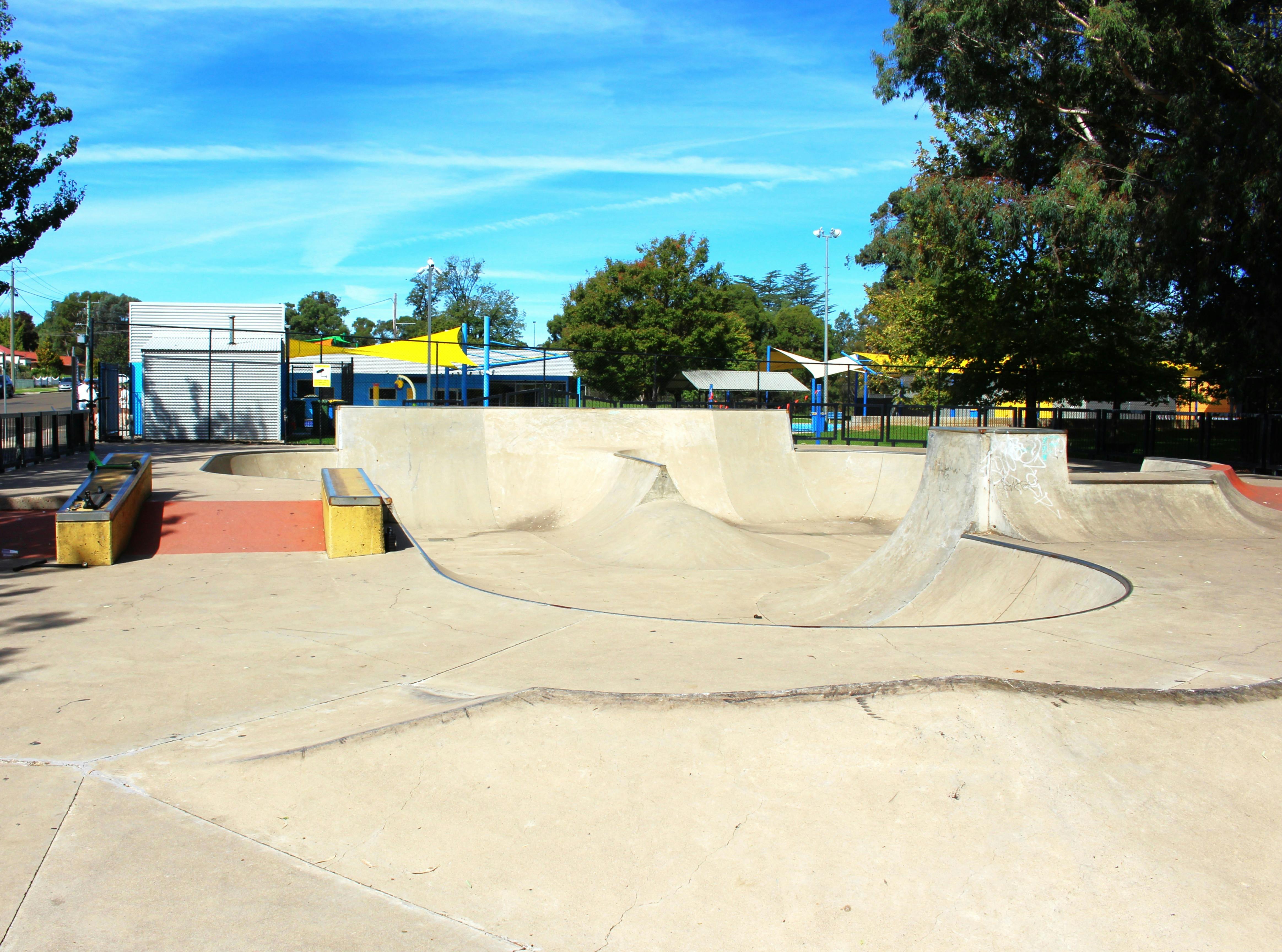 Young Skate Park