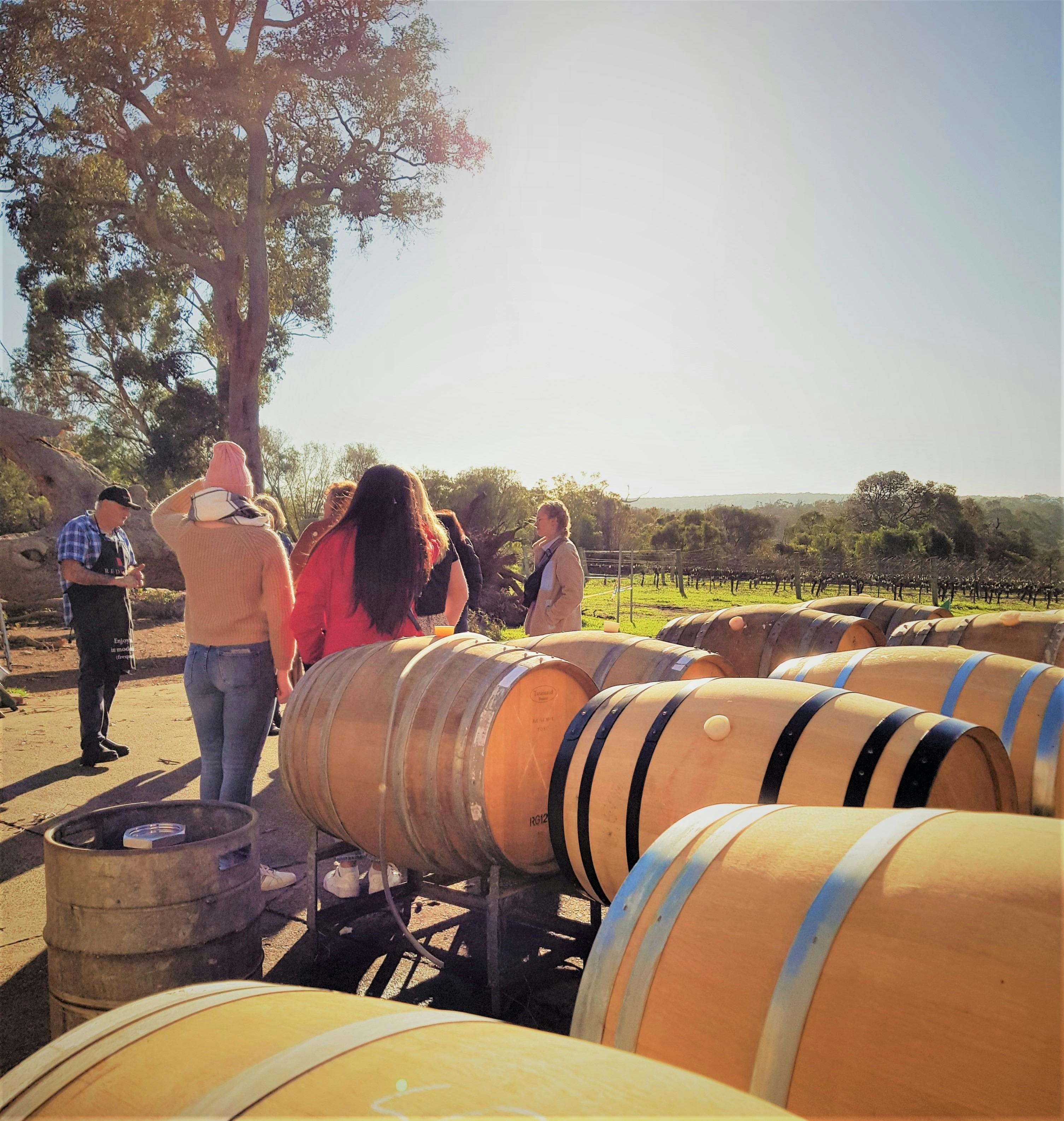 All About Margaret River, Margaret River, Western Australia