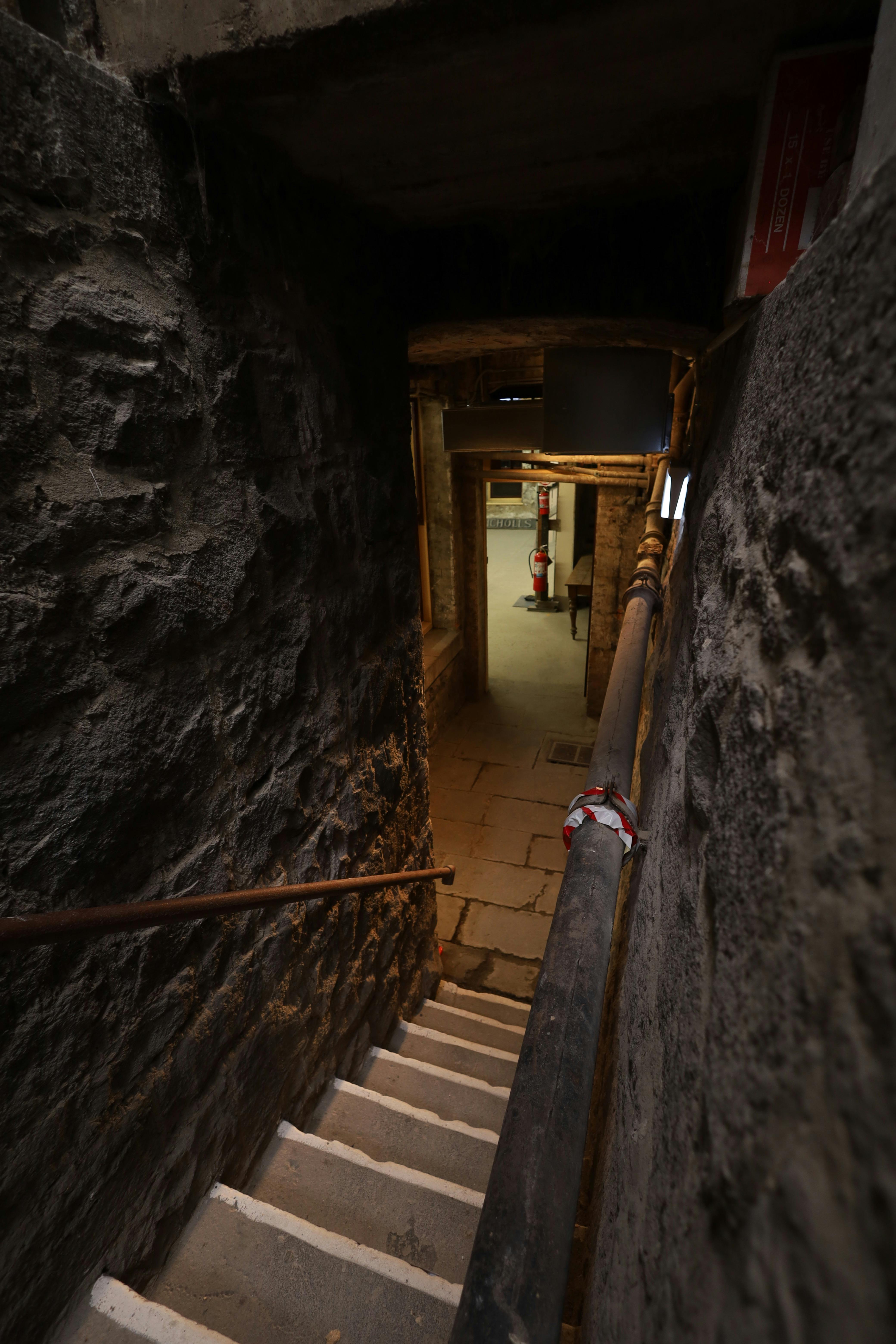 Photo of bluestone stairs leading down into a basement
