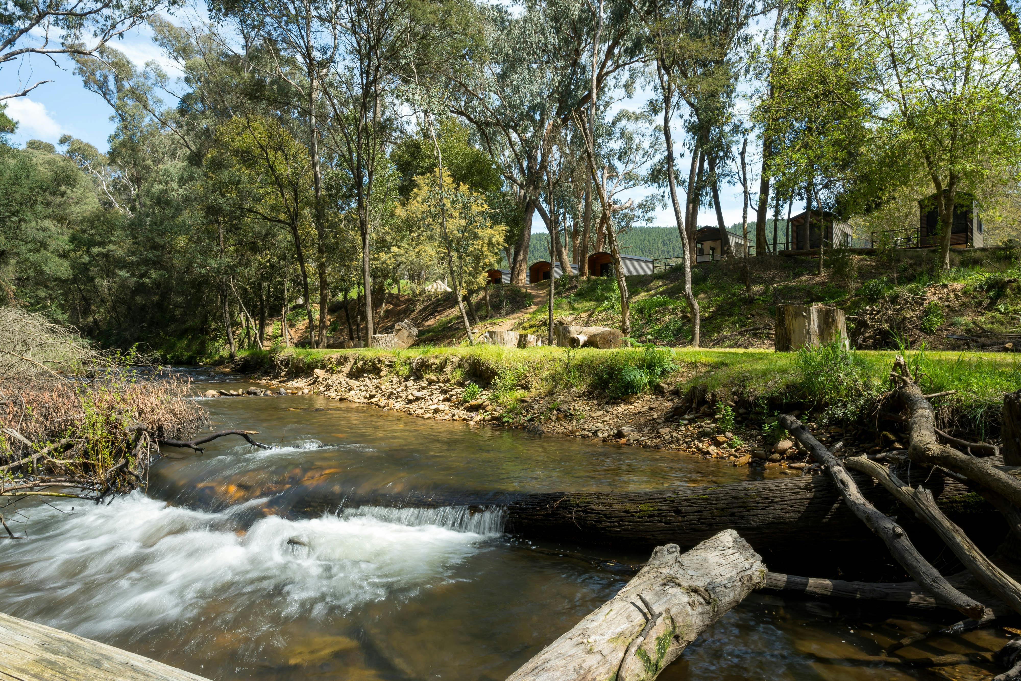 Bright Cabin and Caravan Park - Morses creek