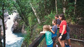 a family looking at a waterfall