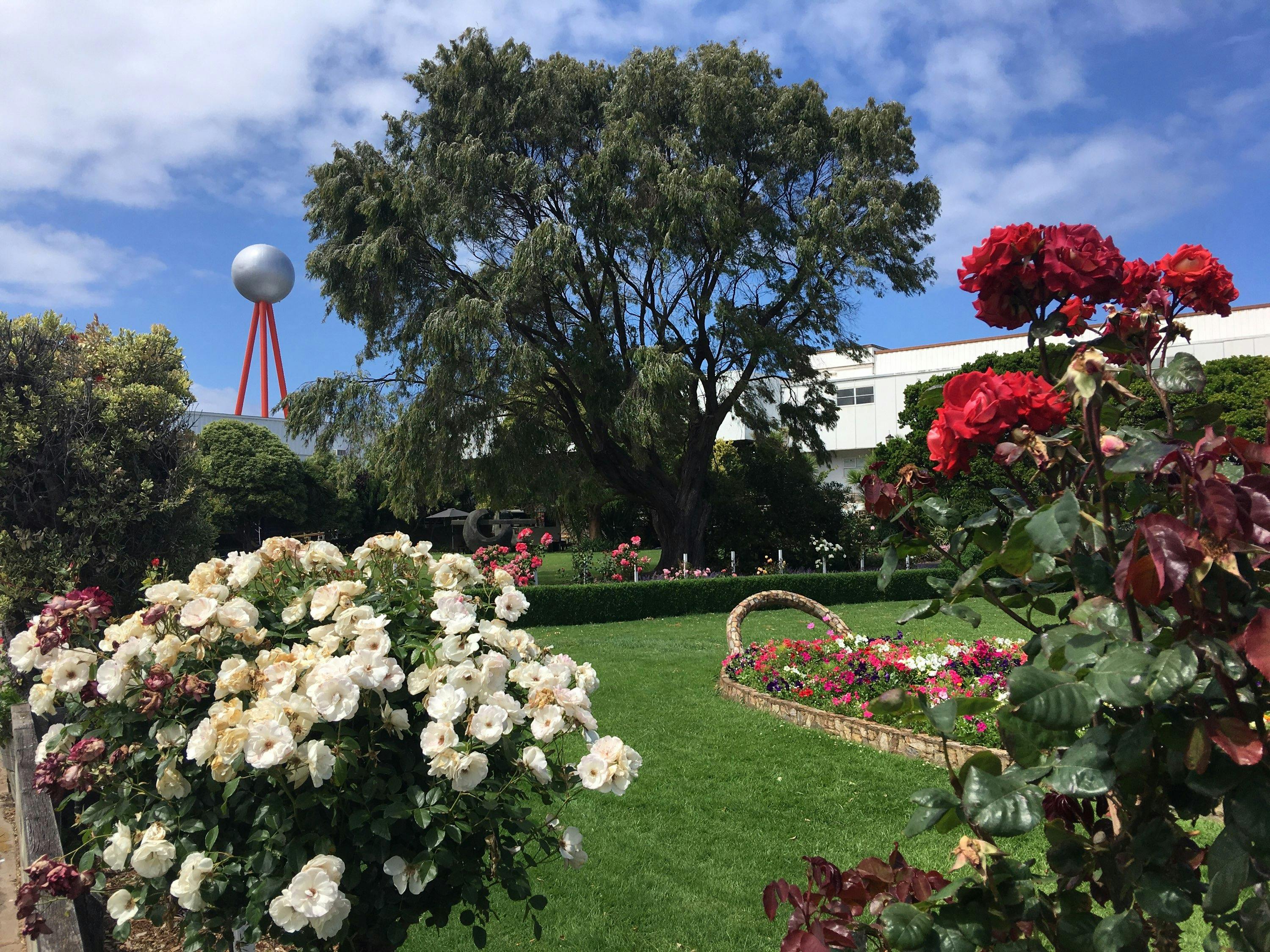 Beautiful Fletcher Jones Gardens