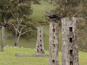 Between Camp Site 6 and Mt Brown you'll find the remnants of some old cattle yards