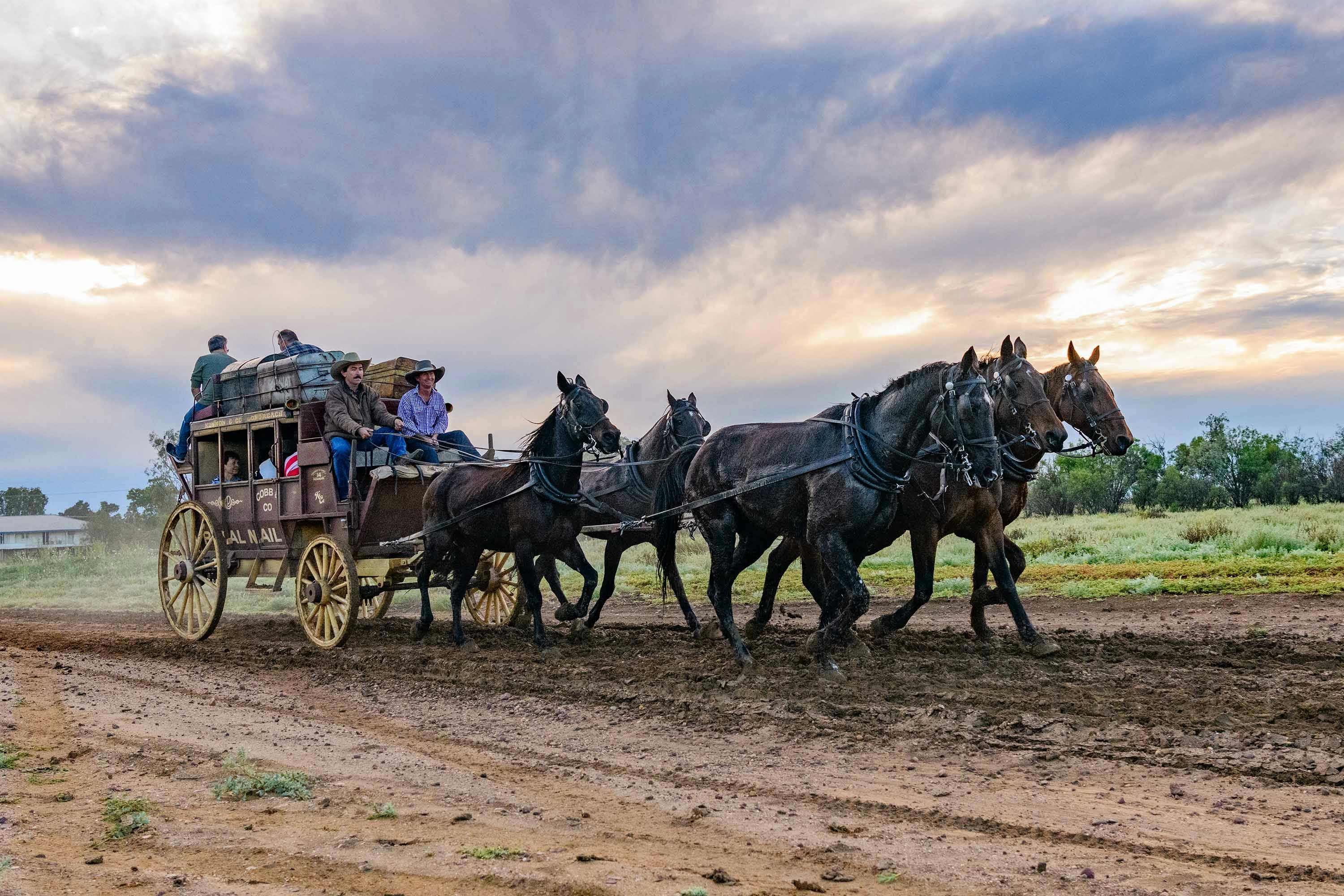 Cobb and Co Stagecoach with horses