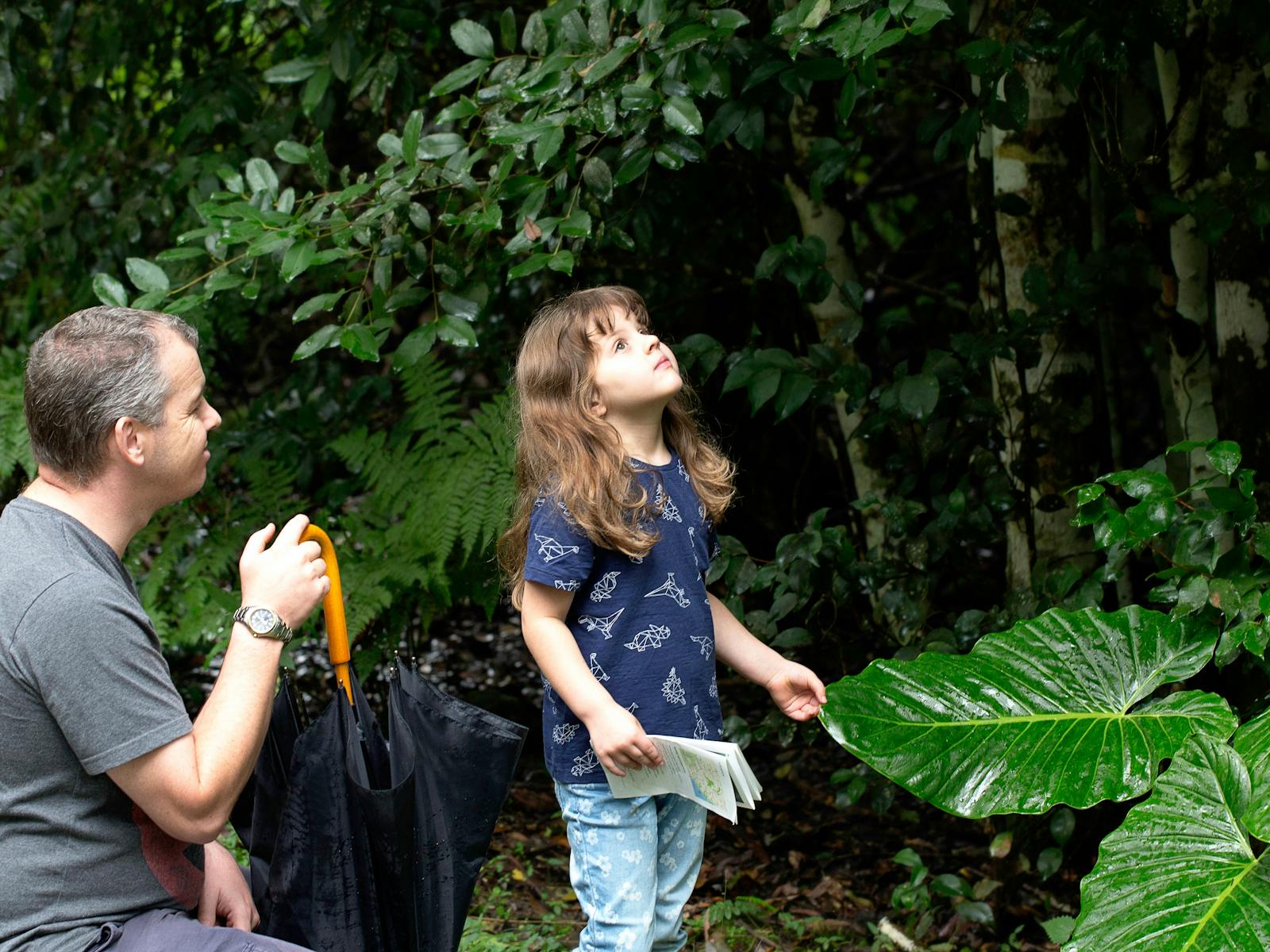 Familien sind am Telegherry River im Chichester State Forest willkommen