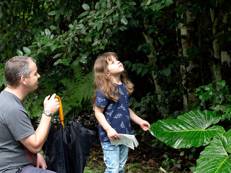 Families are welcome at Telegherry River in Chichester State Forest