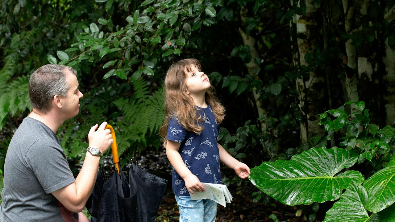 Family friendly Chichester State Forest
