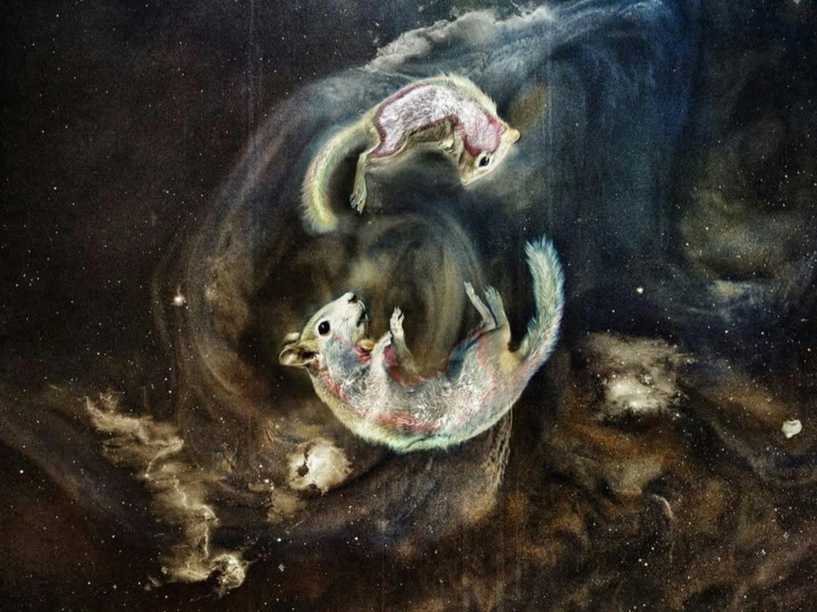 Carcass: The Death of the Animal