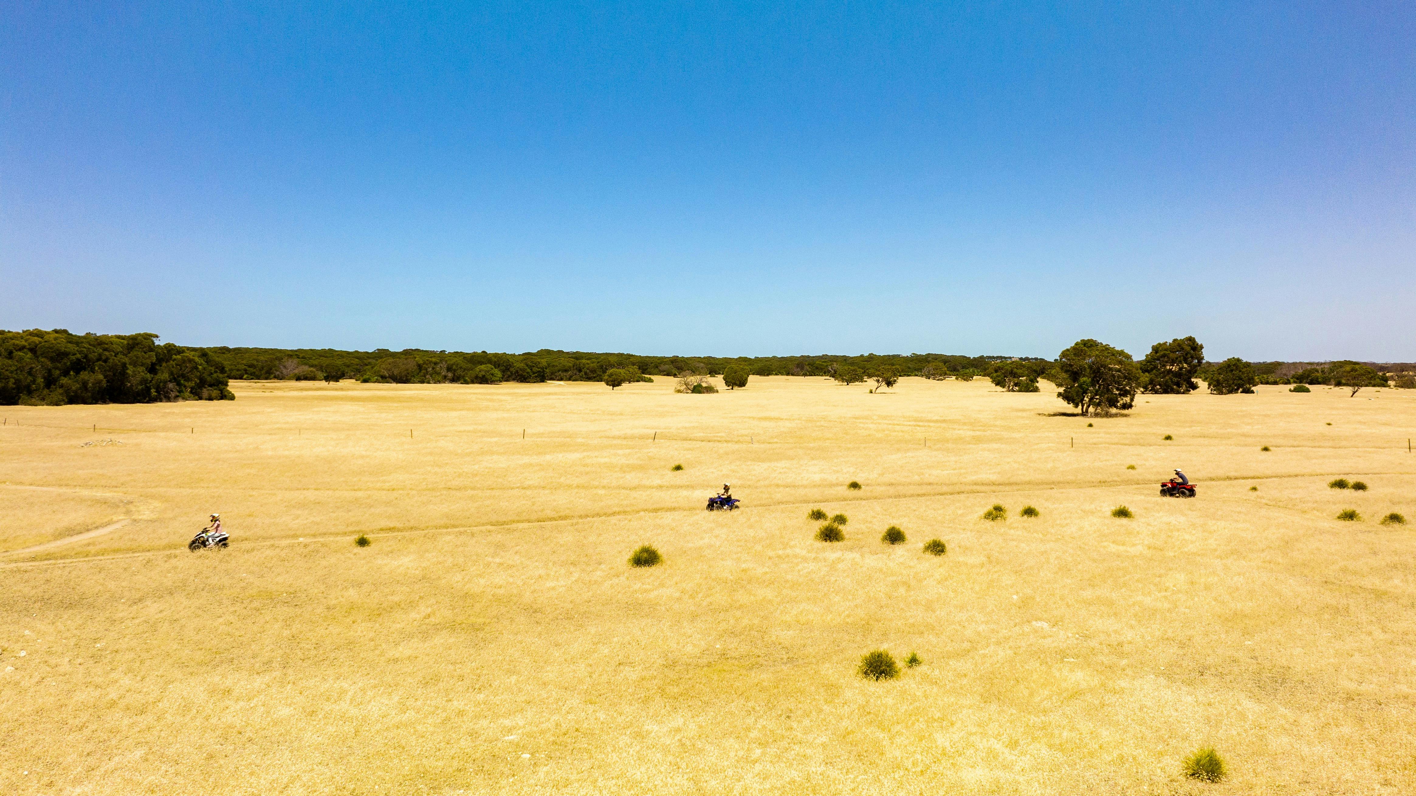 Grasslands