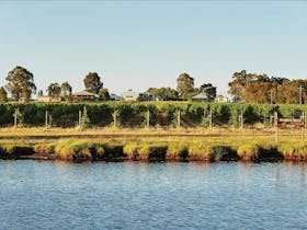 Riverbank Estate Winery, Swan Valley