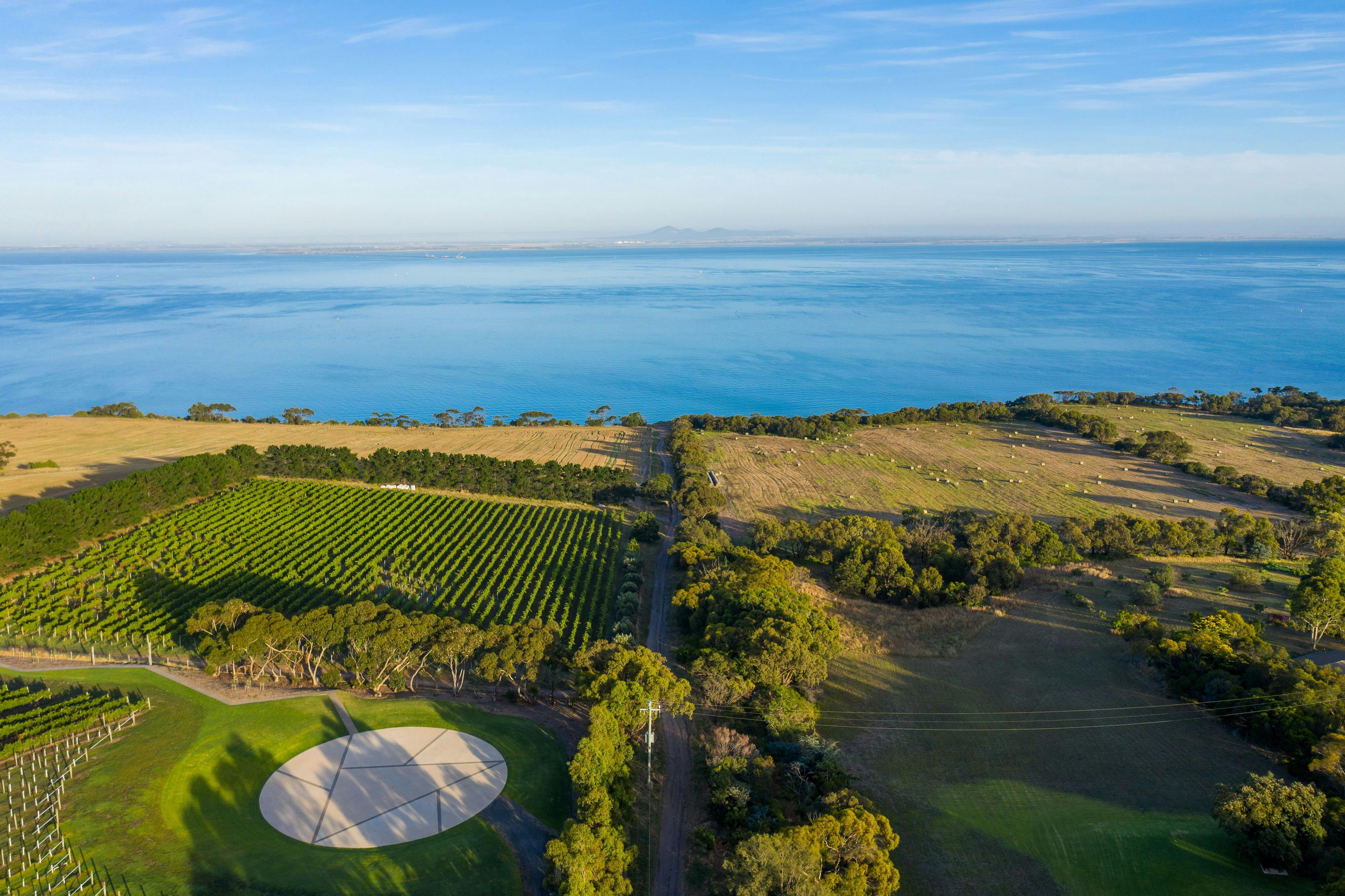 Ariel view Jack Rabbit Vineyard