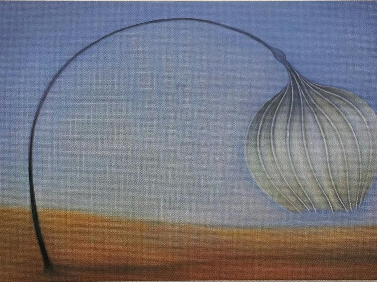 Image for Shapeshifting: The Art of Helen Wright