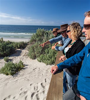 Seal Bay Boardwalk Tour - Seal Bay, Tour | South Australia