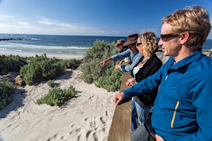 Seal Bay Boardwalk Tour - Seal Bay, Tour | South Australia