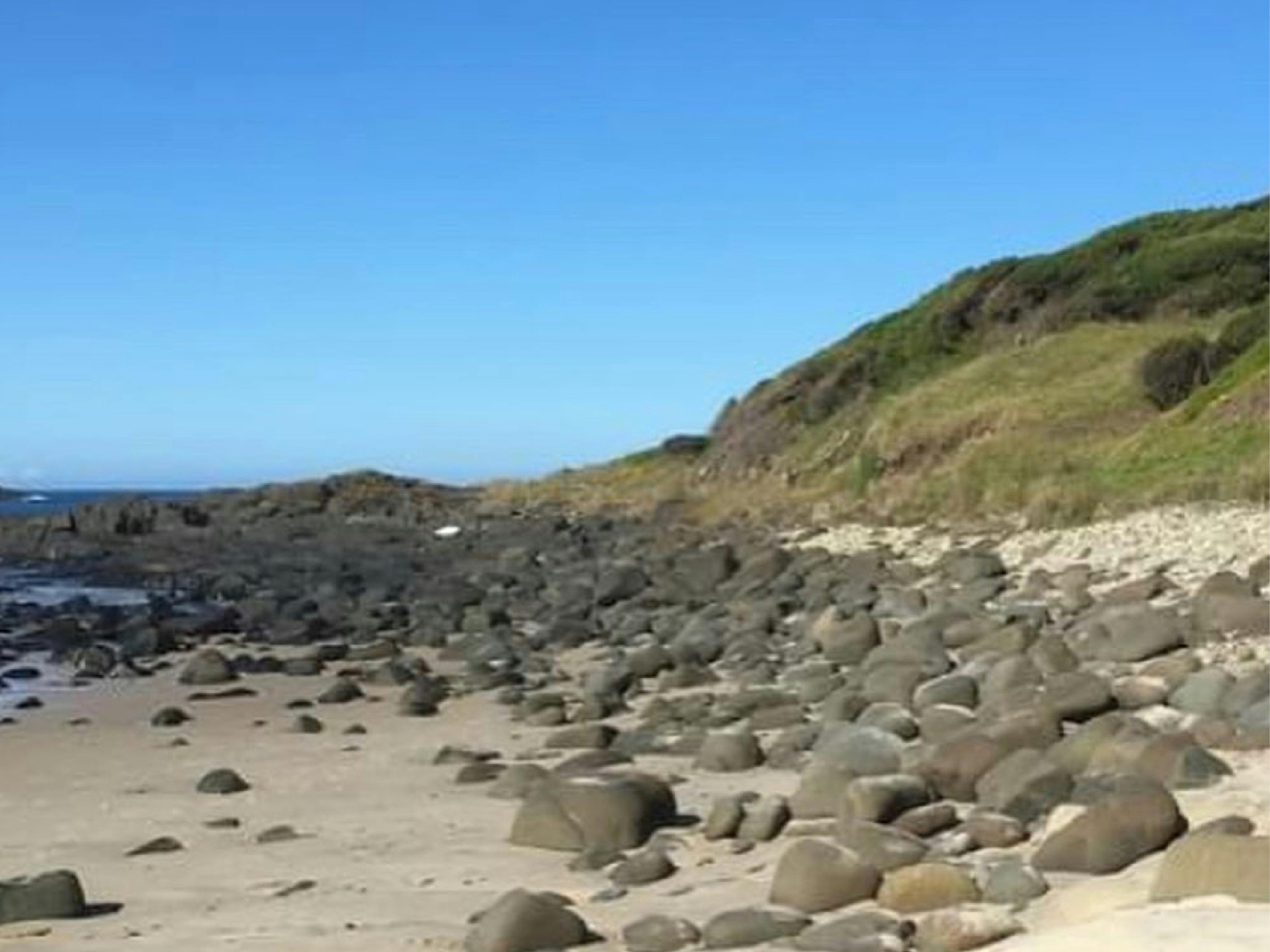 Bush Food and Cultural Knowledge Walk NSW Holidays &