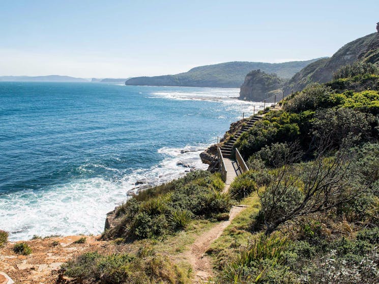 Mount Bouddi walking track, Bouddi National Park. Photo: John Spencer