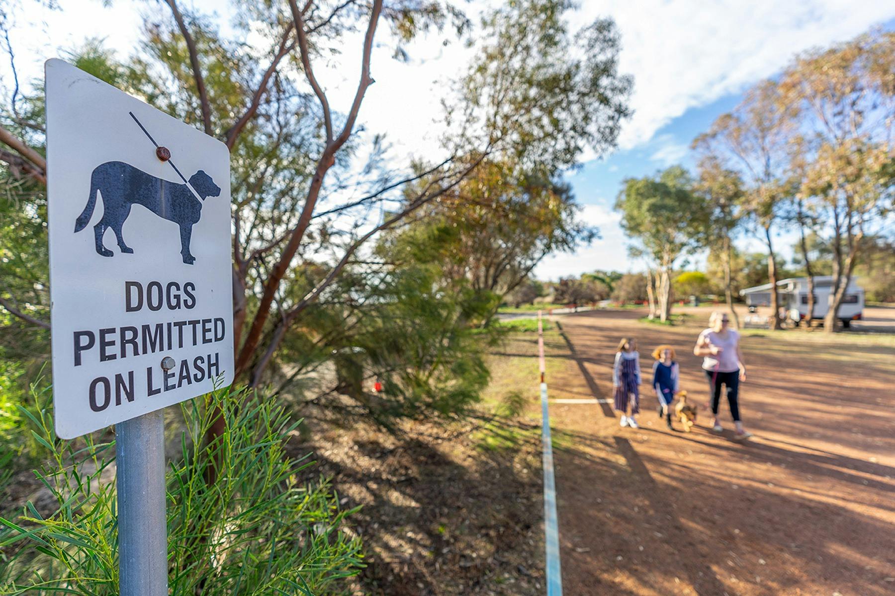 A sign at Herron Point Campground with the words 'dogs permitted on lead'.