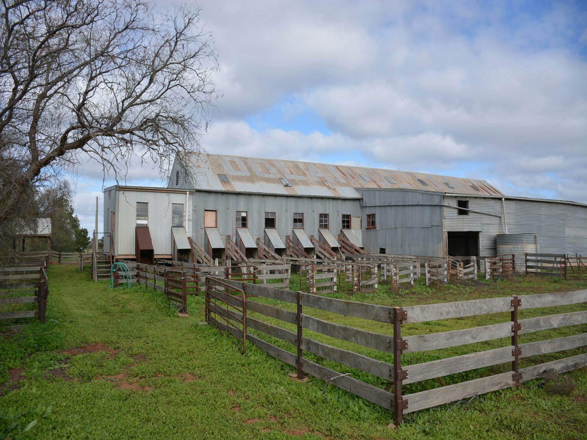 Oolambeyan Woolshed
