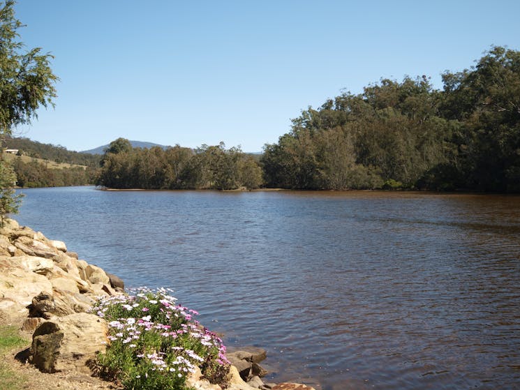 Nelligen Creek
