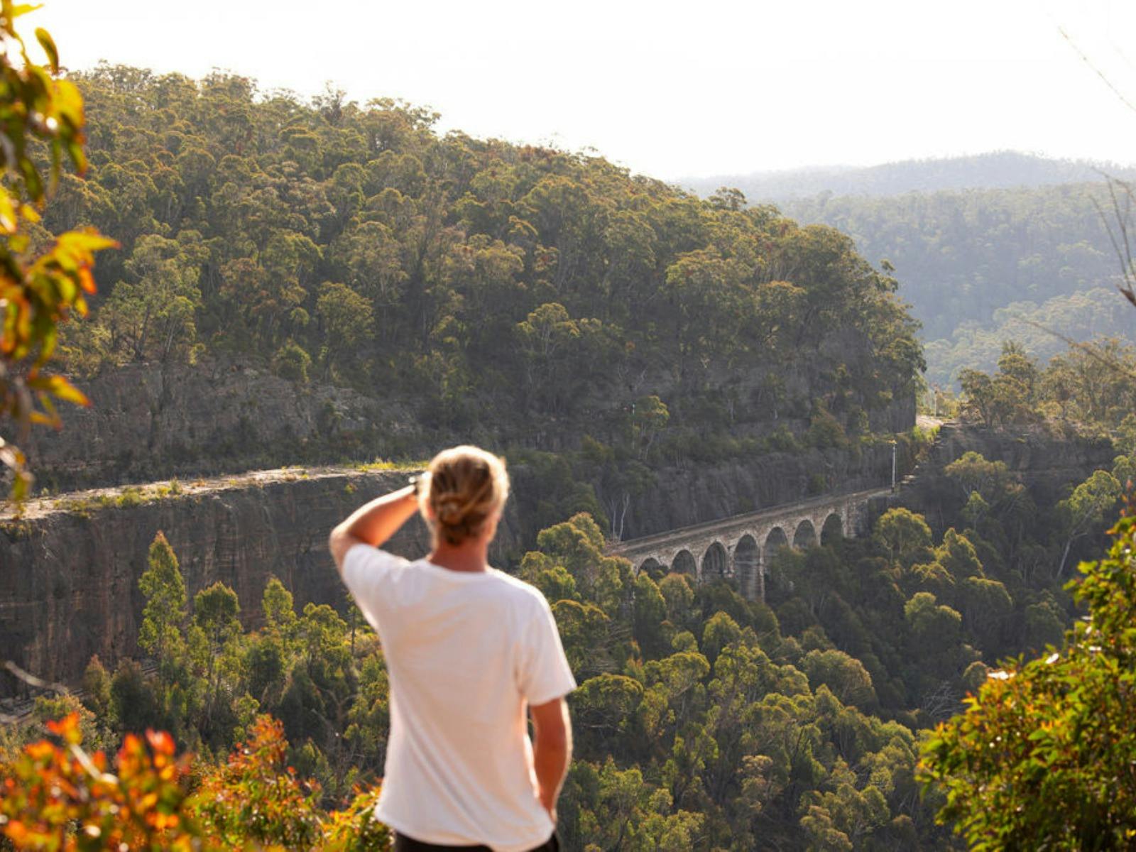 Blue Mountains views