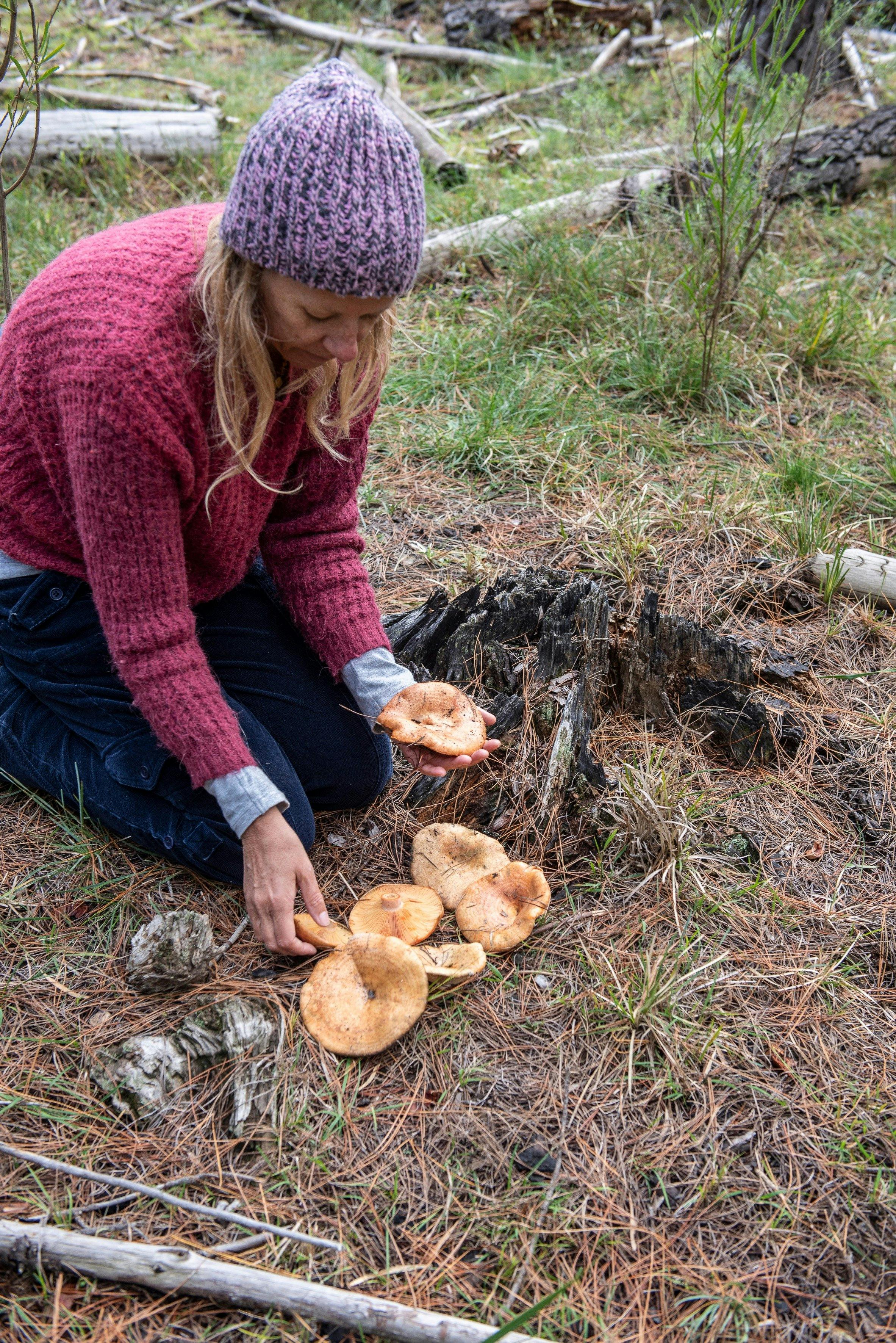 Mushroom Foraging NSW Holidays & Things to