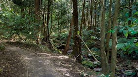 Cascades Walk