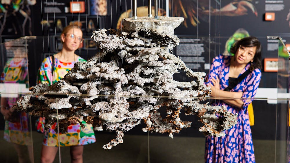 Insect Agency Curator Tours