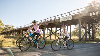 Bike riders under the bridge