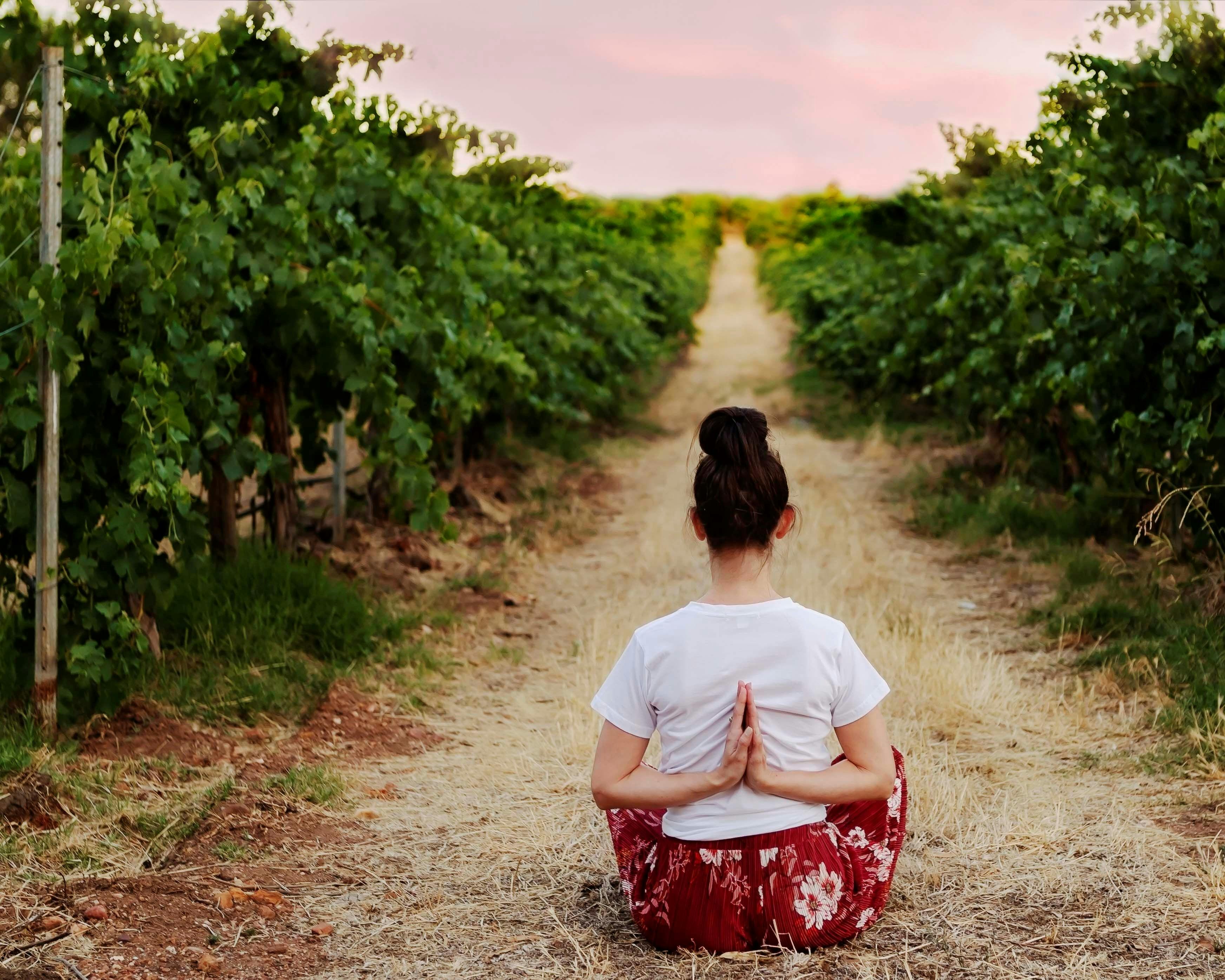 Revive & Thrive Day Retreat
