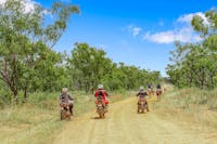 Back roads and cattle stations