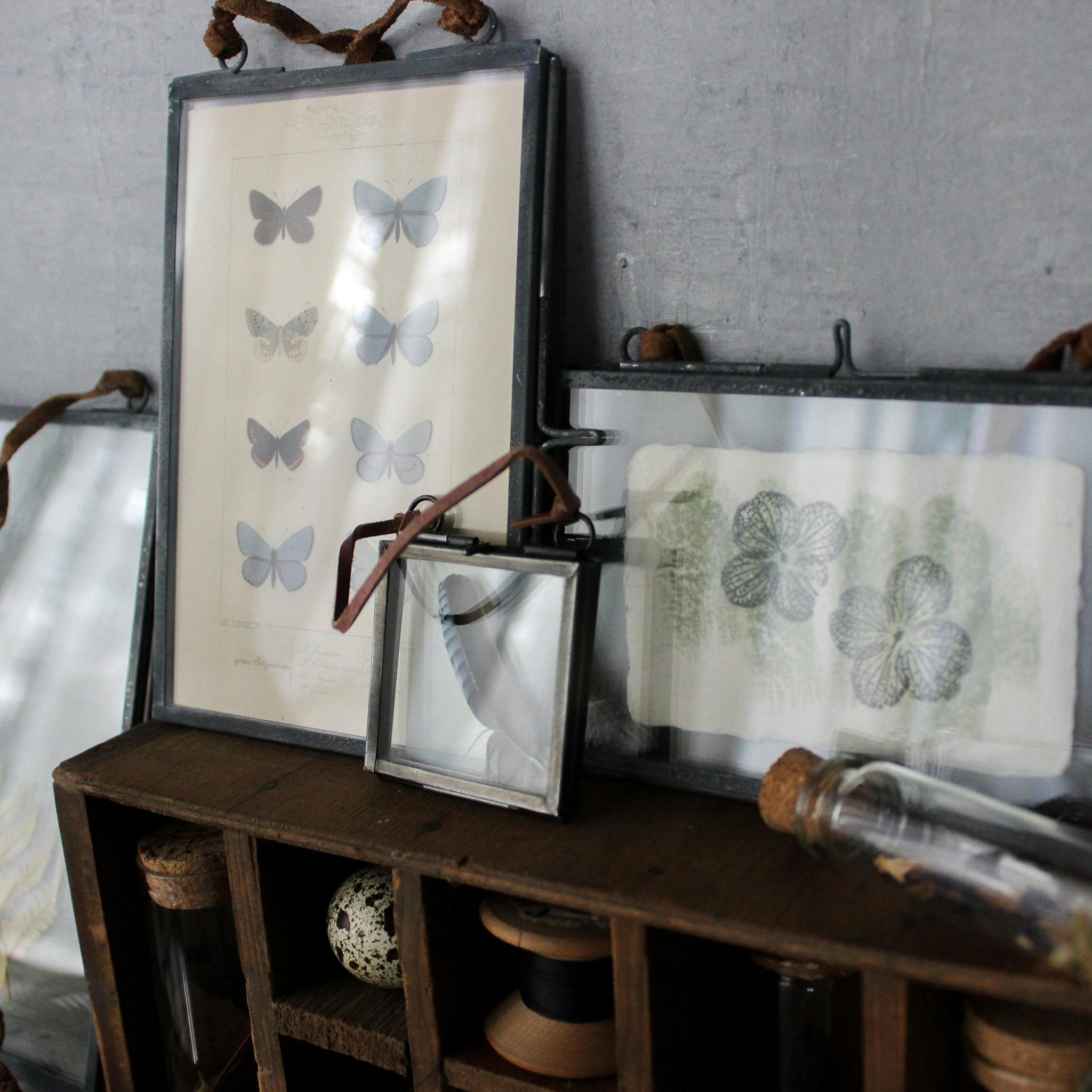 Vintage style frames with natural history images
