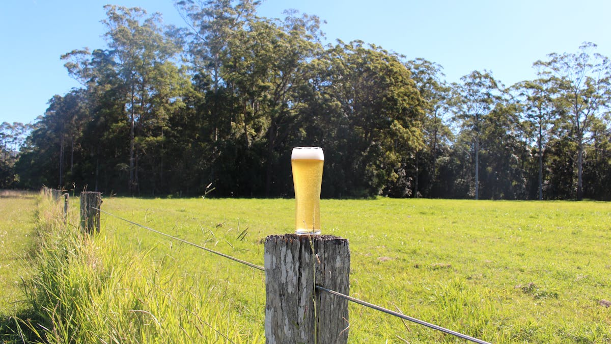 beer