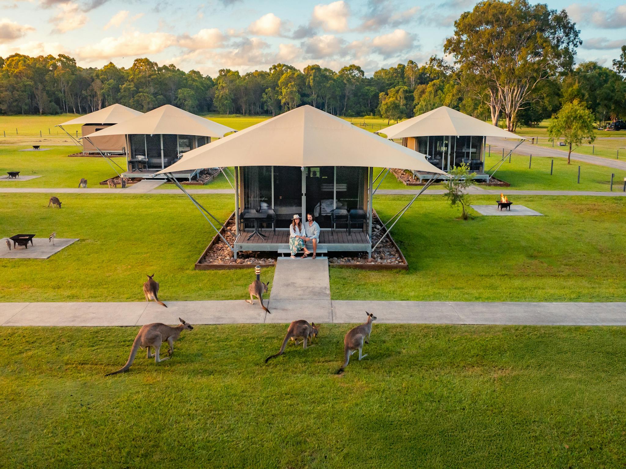 Paperbark Glamping tent Paperbark Glamping tent