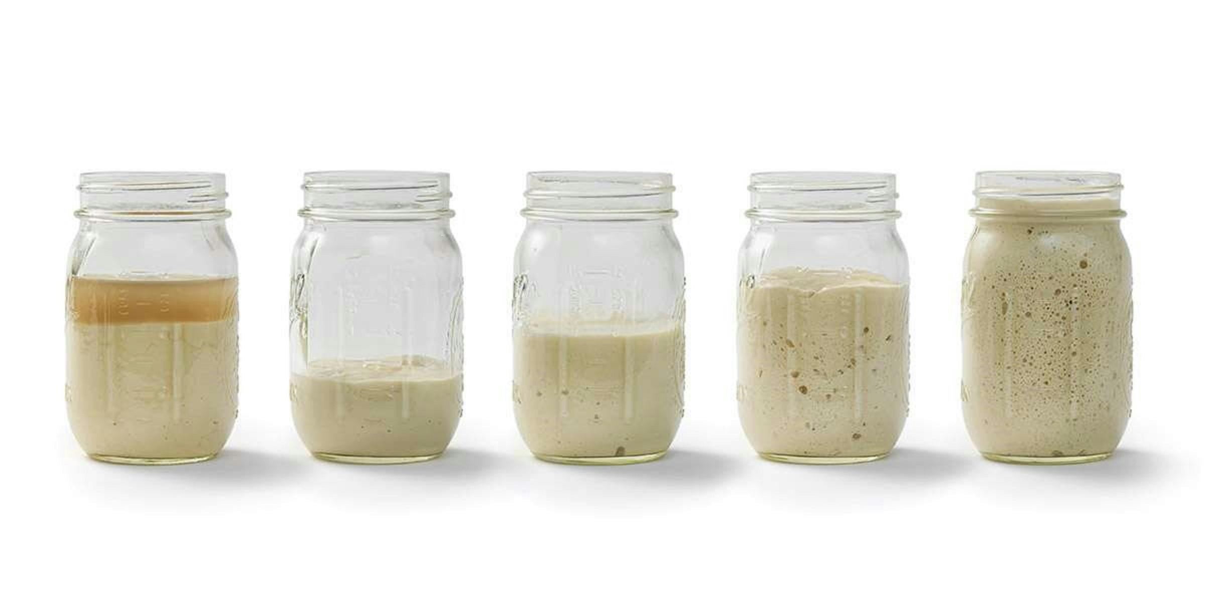 Sourdough Starters