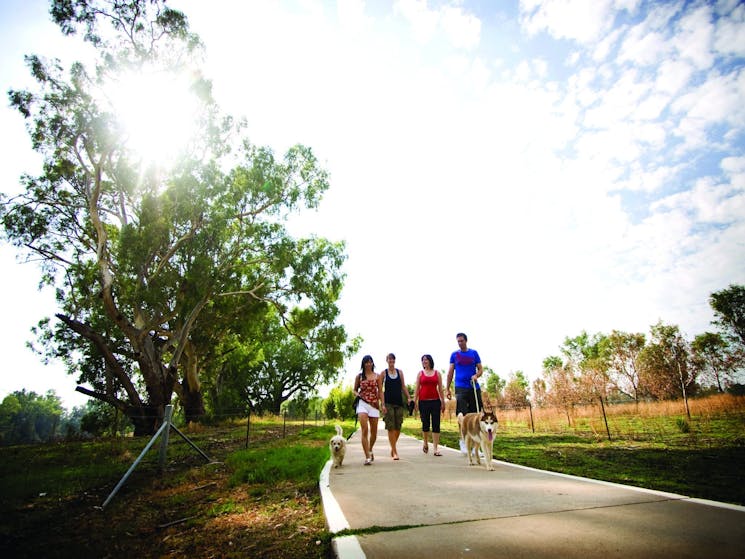 People walking on path with dogs