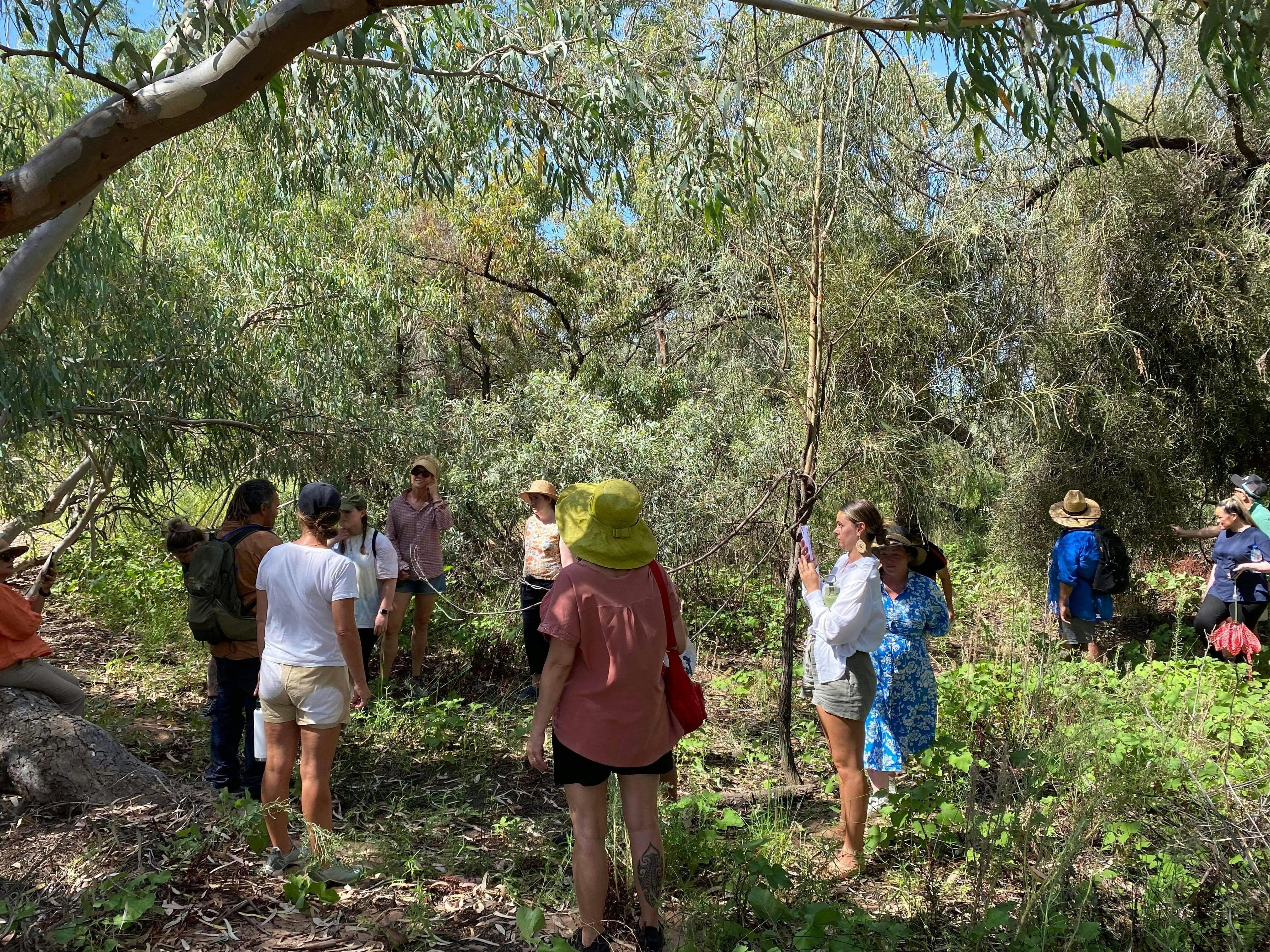 Wontanella tour group