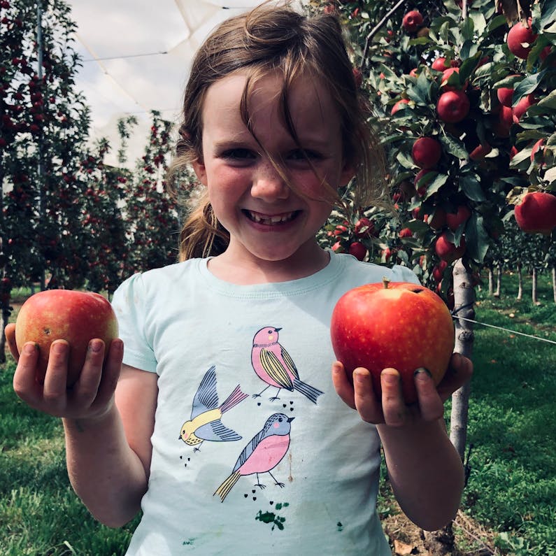 Image of the event 'Orange Apple Ramble'