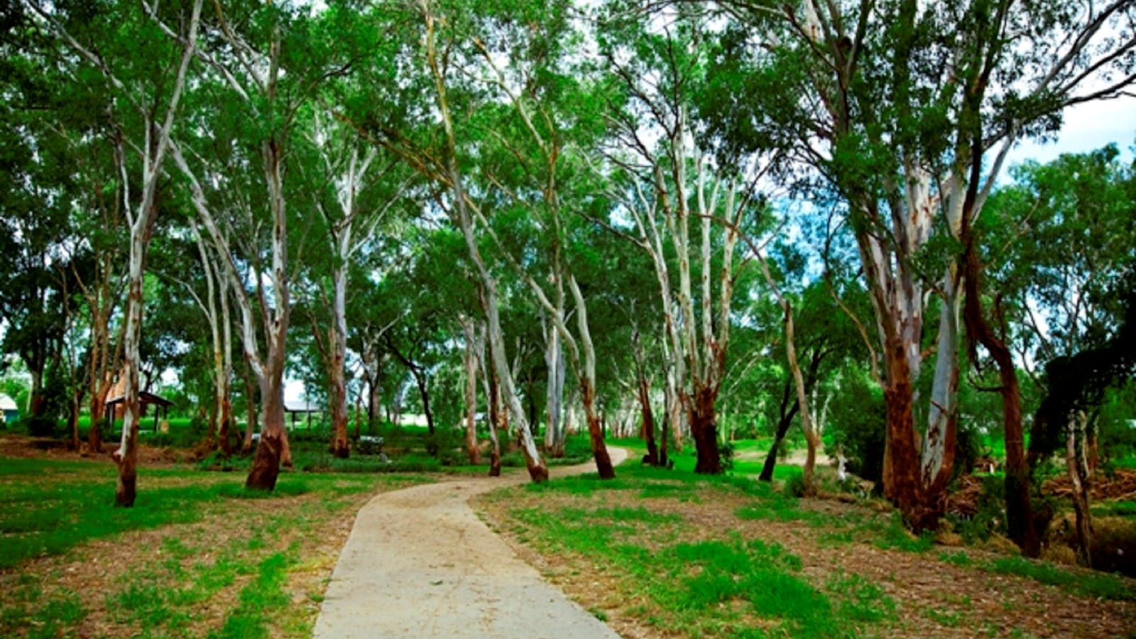 Adungadoo Pathway