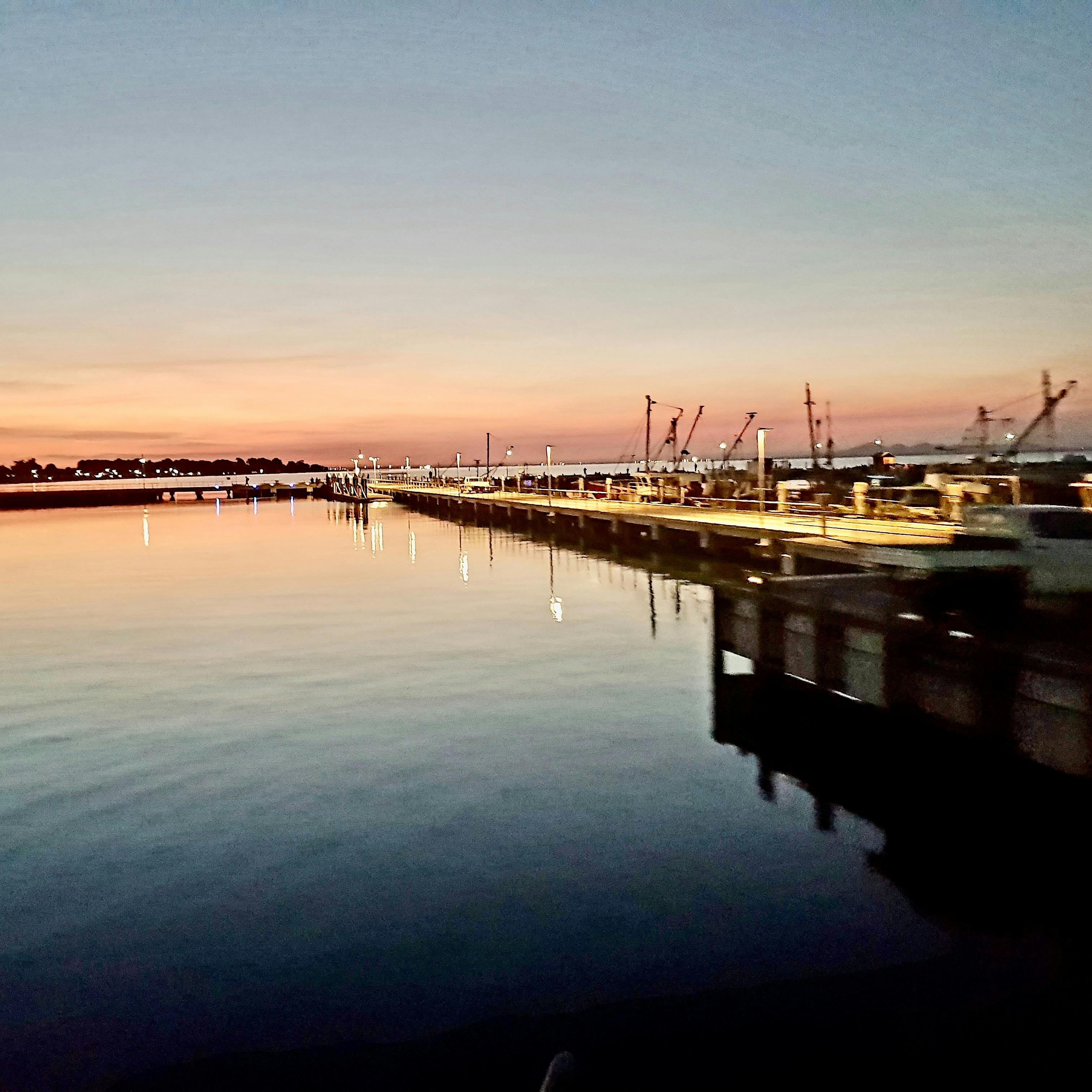 Portarlington Mussel Tours