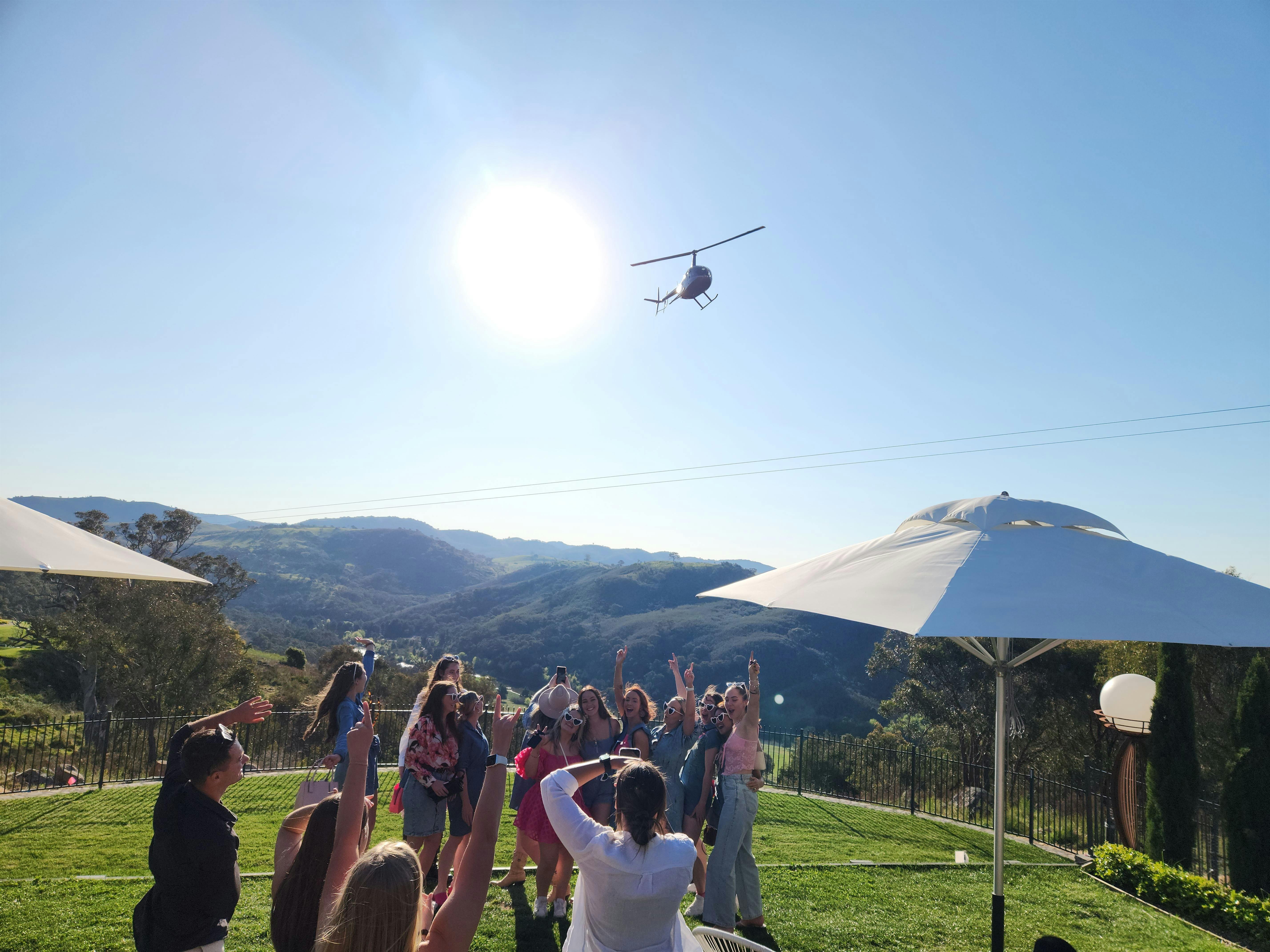 A cluster of individuals positioned in a field surrounded by nature