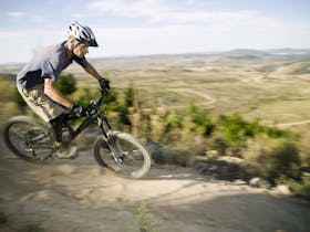 University of Canberra Stromlo Forest Park