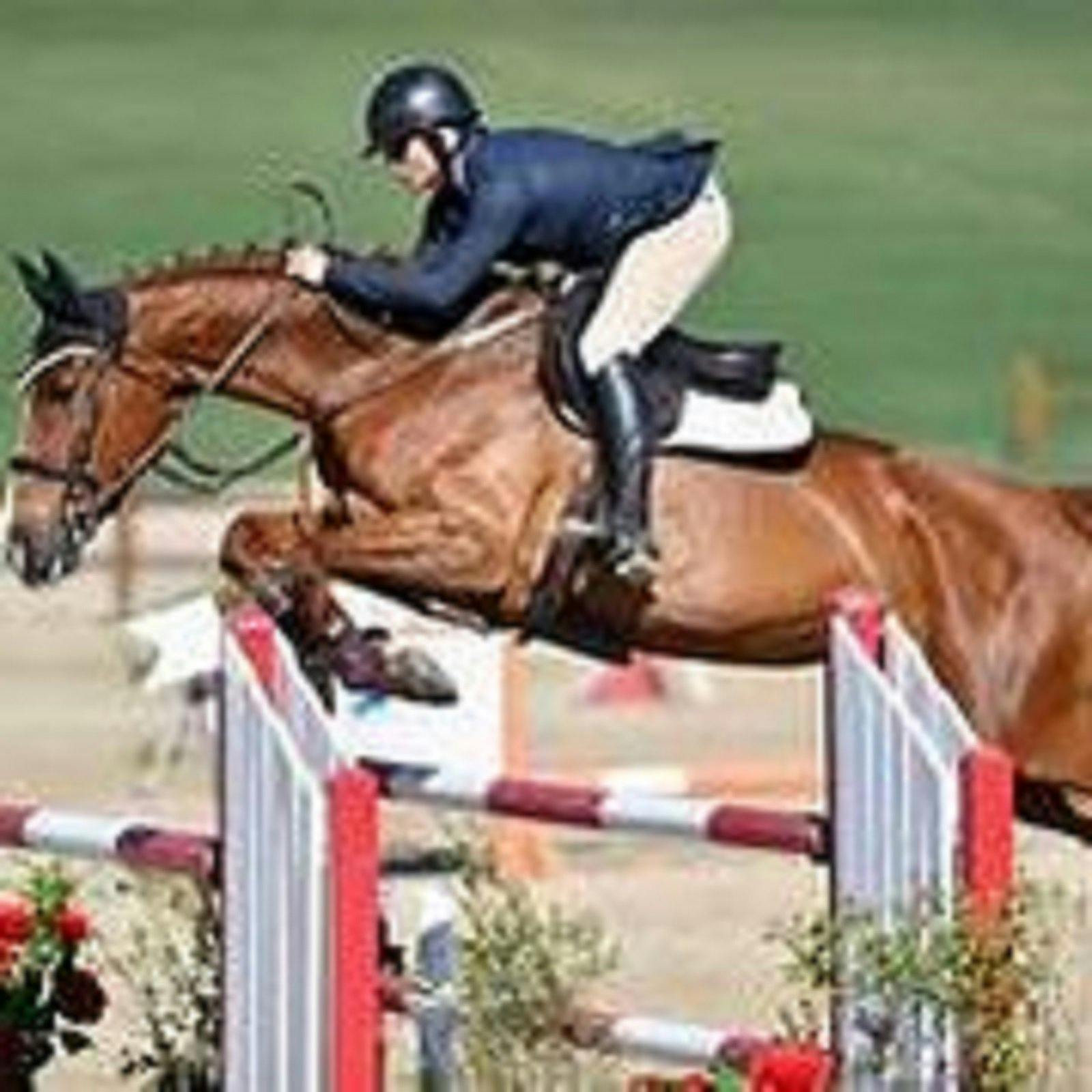 A lovely bay coloured horse clearing a high jump with a rider dressed in a black jacket and helmet.