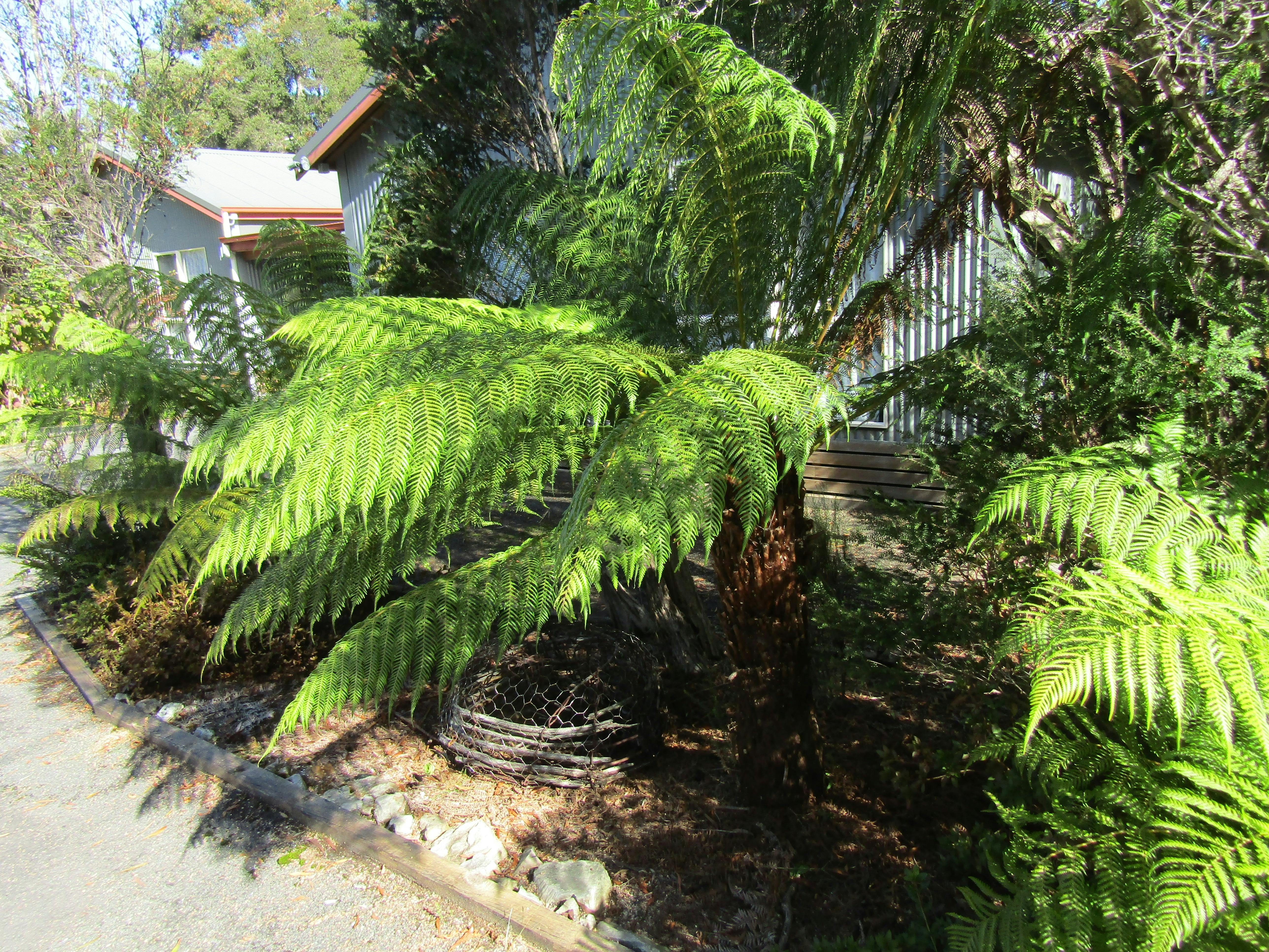 The Crays Accommodation