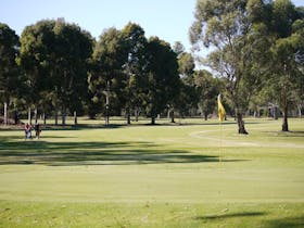 Penola Golf