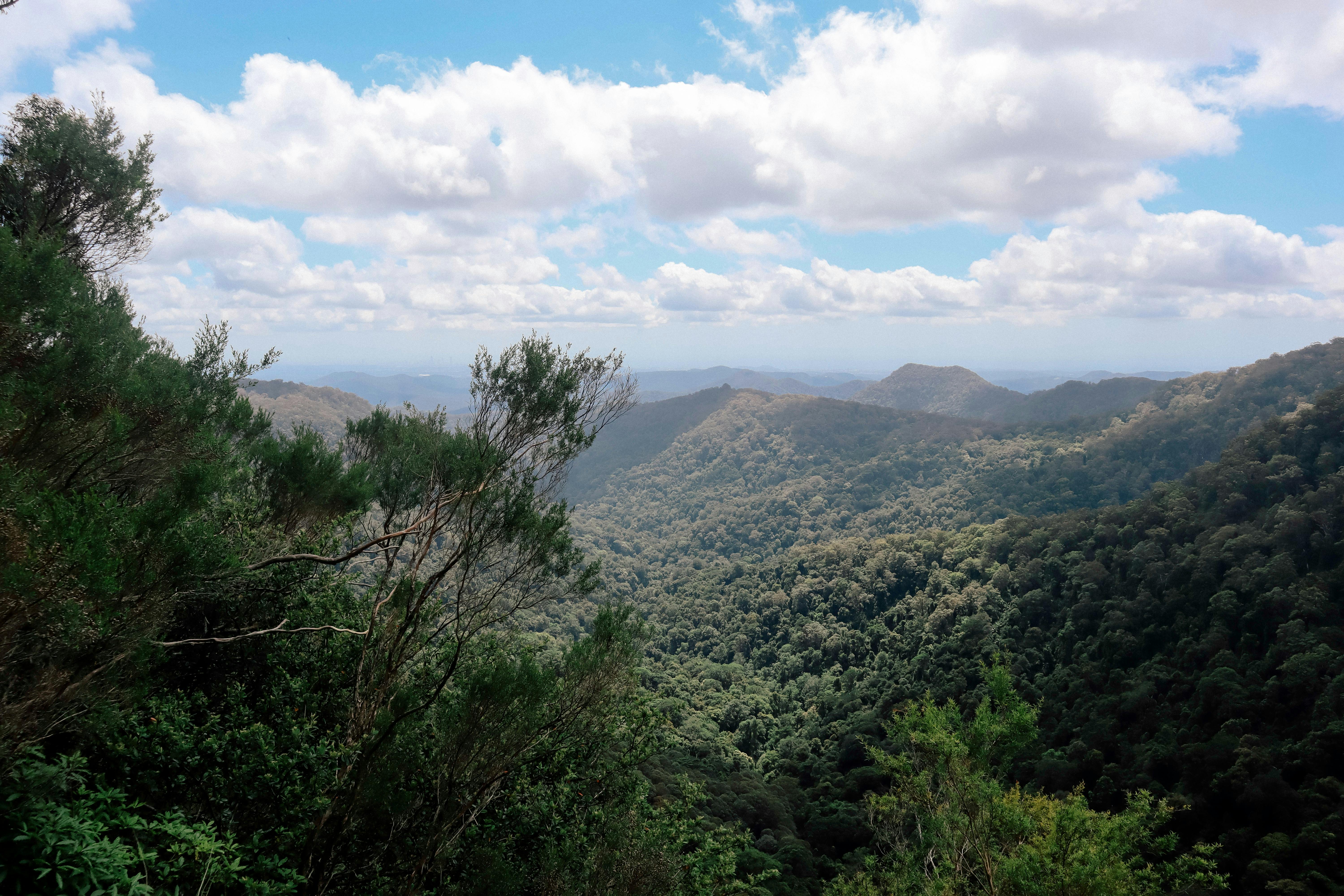Super 7 Waterfalls and Natural Bridge Tour at Springbrook National Park