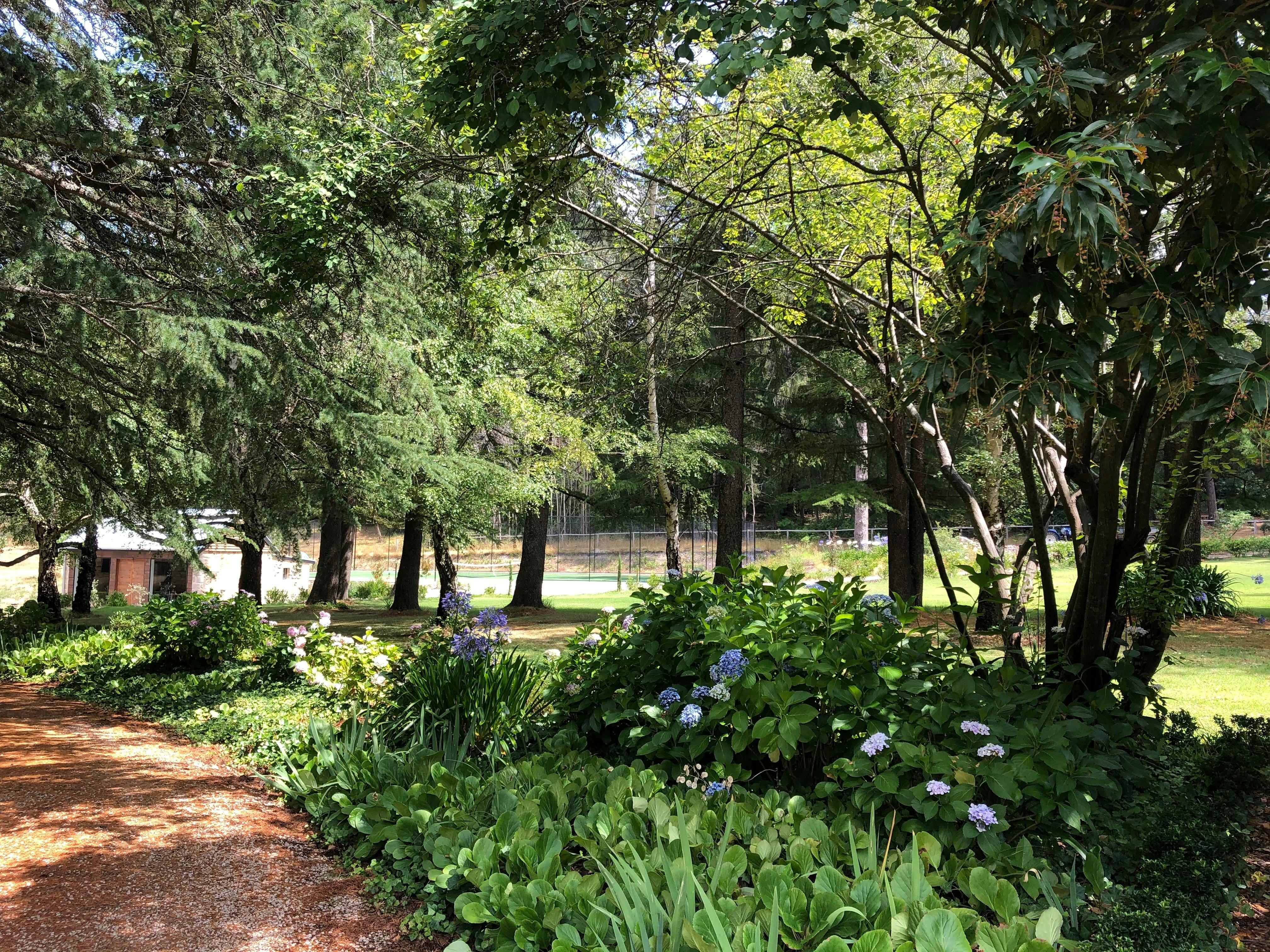 Established beautiful hills gardens