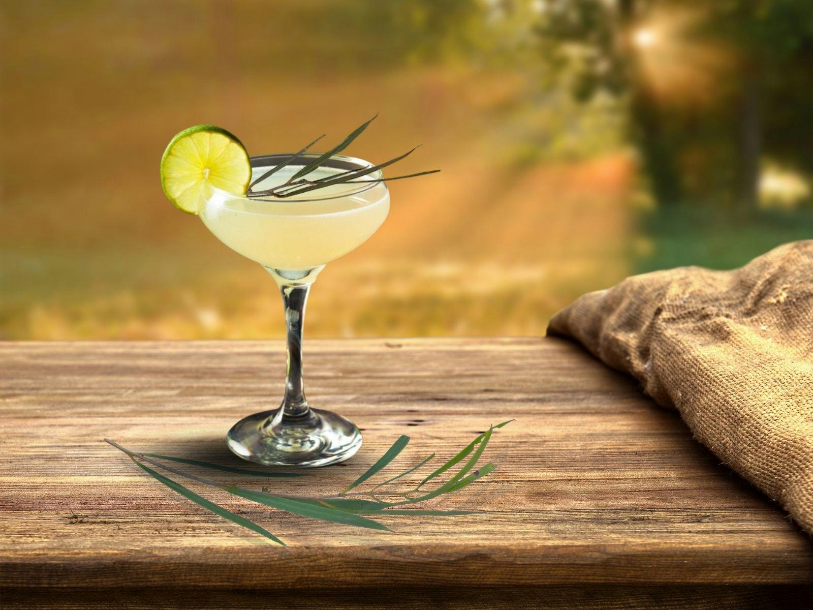 Eucalyptus and Limoncello Cocktail
