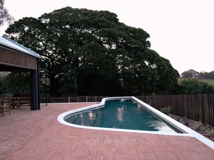 Heated pool and cabana