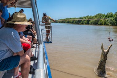 Spectacular Jumping Crocodile Cruise