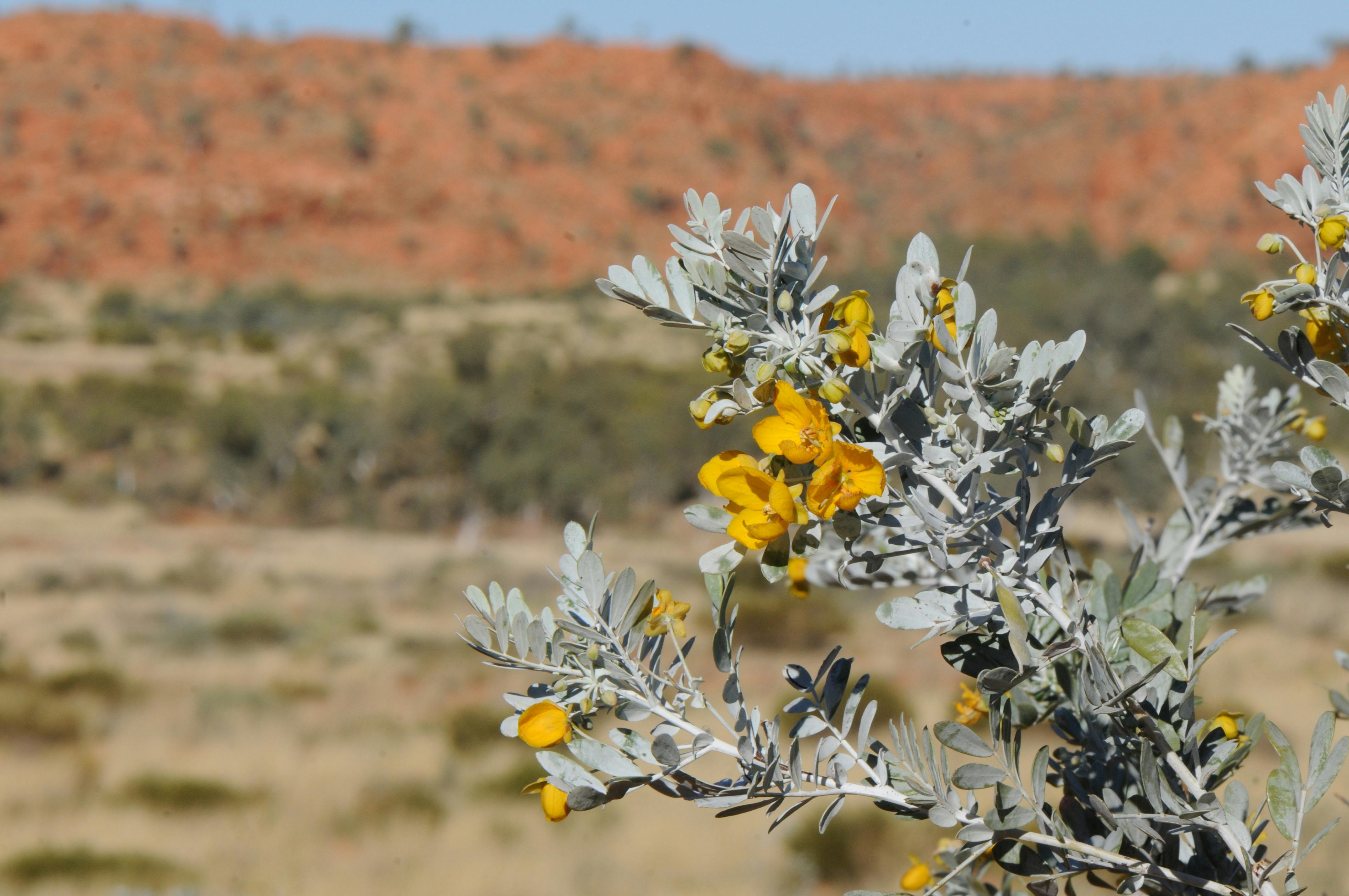 Coates Wildlife Tours, Canning Vale, Western Australia